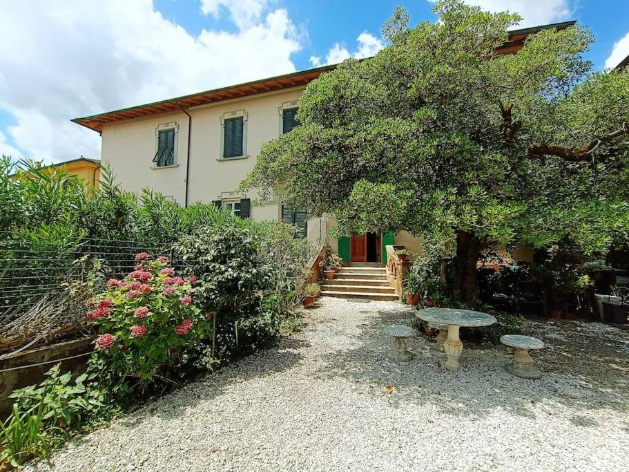 Just Outside The Wall: Free A/C, Bikes And Wifi Lucca Exterior photo